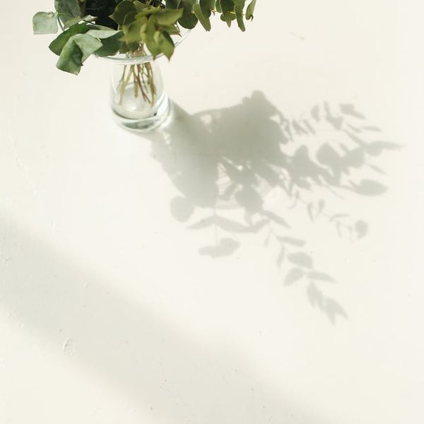 Interior of a serene and minimalist yoga studio with natural light.